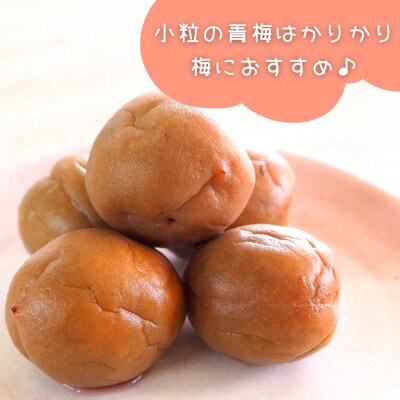 南高梅 青梅 秀品 小粒ちゃん 3kg Sサイズ以下 和歌山県産 紀州有田 産地直送 クール便対応