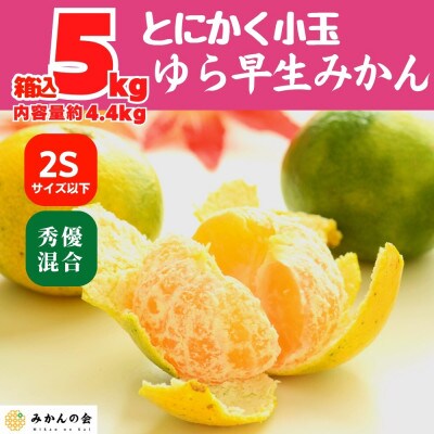 ゆら早生 みかん 小玉ちゃん 箱込5kg (内容量 4.4kg) 2Sサイズ以下 秀優混合