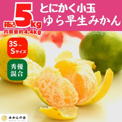 ゆら早生 みかん 小玉 箱込5kg (内容量 4.4kg) 3S～Sサイズ混合 秀優混合