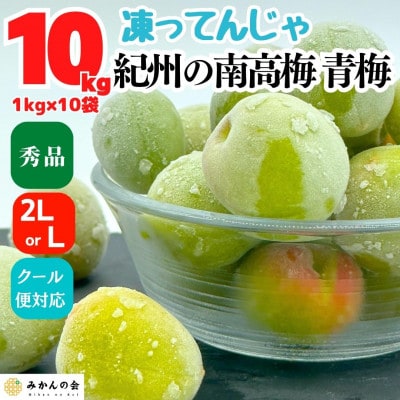 冷凍 青梅 南高梅 約10kg 秀品 2L or Lサイズ 和歌山県産 紀州有田 産地直送 クール便