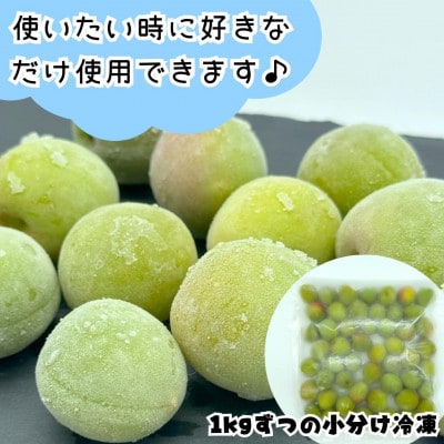 冷凍 青梅 南高梅 約10kg 秀品 2L or Lサイズ 和歌山県産 紀州有田 産地直送 クール便