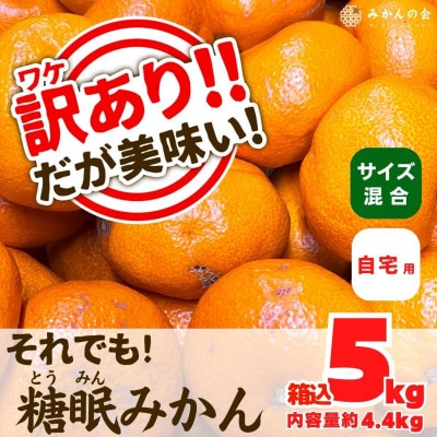 訳あり それでも 熟成みかん 箱込 5kg ( 内容量 4.4kg ) サイズミックス B品