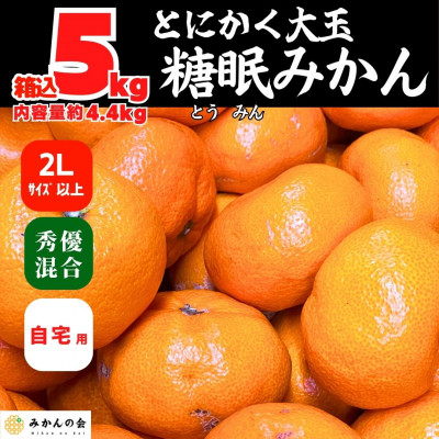 熟成 みかん とにかく 大玉 箱込 5kg ( 内容量 4.4kg ) 2Lサイズ以上 秀優品混合