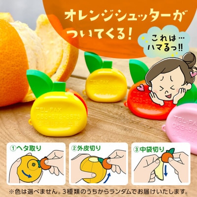 八朔 訳あり それでも八朔 箱込5kg(内容量約4.4kg) サイズミックス 和歌山 ご家庭用