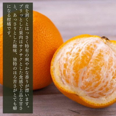 八朔 箱込7.5kg(内容量約6.8kg) とにかく小玉 Sサイズ以下 秀優品混合 和歌山県産