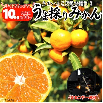 みかん うま採り 箱込10kg(内容量9.2kg) 光センサー選別 みかんの会厳選 サイズ混合