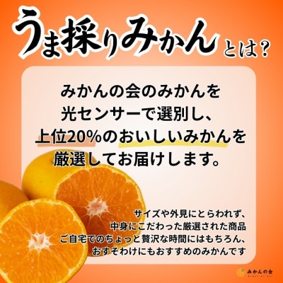 みかん うま採り 箱込7.5kg(内容量6.8kg) 光センサー選別 みかんの会厳選 サイズ混合