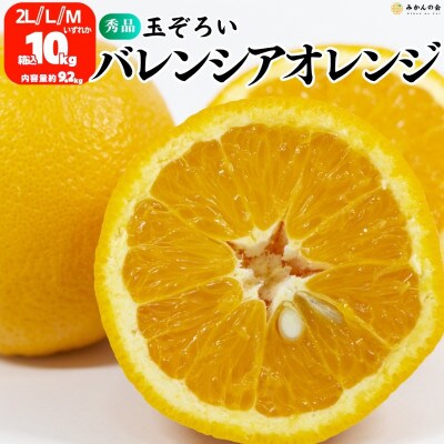 バレンシアオレンジ 国産 玉ぞろい 秀品 箱込10kg (内容量9.2kg) 2L/L/Mいずれか