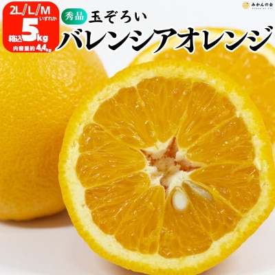 バレンシアオレンジ 国産 玉ぞろい 秀品 箱込5kg (内容量4.4kg) 2L/L/Mいずれか