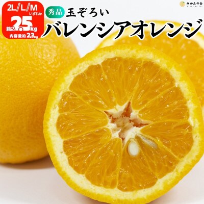 バレンシアオレンジ 国産 秀品 箱込2.5kg (内容量2.3kg) 2L/L/Mサイズいずれか