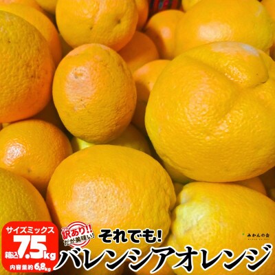 訳あり バレンシアオレンジ 箱込7.5kg (内容量6.8kg) サイズミックス 和歌山県産