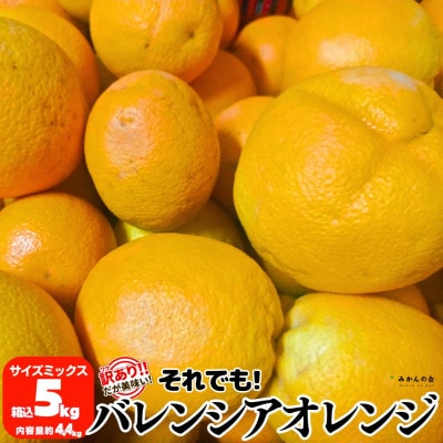 訳あり バレンシアオレンジ 箱込5kg (内容量4.4kg) サイズミックス 和歌山県産