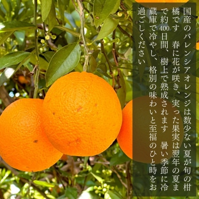 訳あり バレンシアオレンジ 箱込5kg (内容量4.4kg) サイズミックス 和歌山県産
