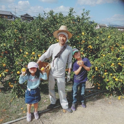 本場有田みかん!【自宅用】大ちゃんの畑農園　木成り完熟有田みかん5kg(サイズミックス)