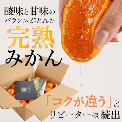 【先行予約】山城農園 和歌山県産 有田みかん 5kg 混サイズ 農園直送 ORYY推奨