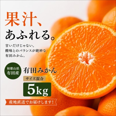【先行予約】山城農園 和歌山県産 有田みかん 5kg 混サイズ 農園直送 ORYY推奨