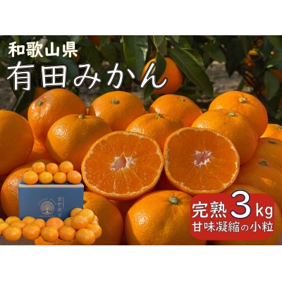 【先行受付】 甘味凝縮 小粒 有田みかん 3kg 産直44年 5代目 武内園の完熟蜜柑