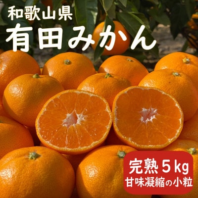 【先行受付】甘味凝縮 武内園 有田みかん 小粒 5kg　産直44年目 5代目 完熟蜜柑