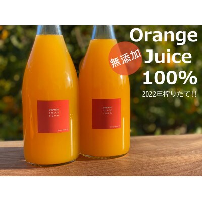 2022年冬みかん　搾りたて果汁100%　みかんジュース720ml×2本入　和歌山県産