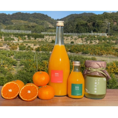 純粋　蜜柑蜂蜜(2022年度産)とOrange Juice 100%セット　～みかんの郷からお届け～