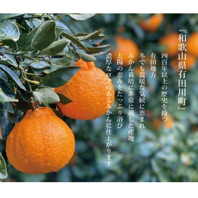 和歌山県 農家自慢 ジュース飲み比べ  不知火ジュース  みかんジュース　12本セット