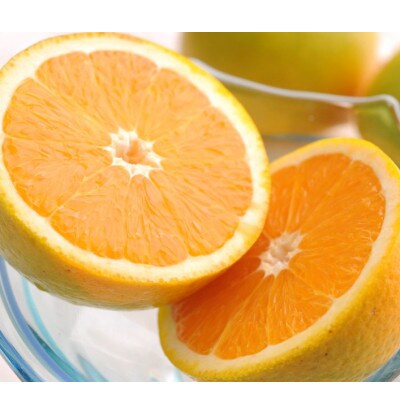 【先行予約】和歌山県産 武内園  希少 高級 バレンシアオレンジ 3kg