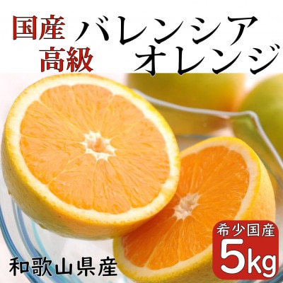 和歌山県産 武内園  希少 高級 バレンシアオレンジ 5kg