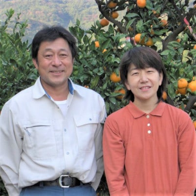 蛍飛ぶ町から旬の便り 有田みかん Lサイズ 10kg　平武農園の有田ブランド田口みかん