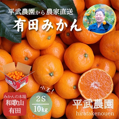 蛍飛ぶ町から旬の便り 有田みかん 2Sサイズ 10kg　平武農園の有田ブランド田口みかん