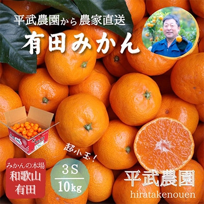 蛍飛ぶ町から旬の便り 有田みかん 3Sサイズ 10kg　平武農園の有田ブランド田口みかん