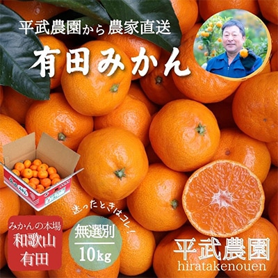 蛍飛ぶ町から旬の便り 有田みかん 無選別 10kg　平武農園の有田ブランド田口みかん