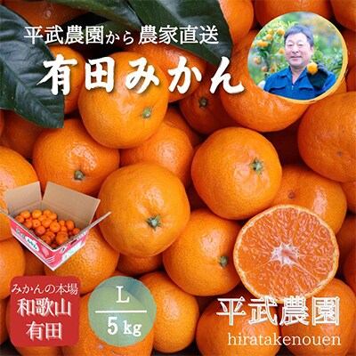 蛍飛ぶ町から旬の便り 有田みかん Lサイズ 5kg　平武農園の有田ブランド田口みかん