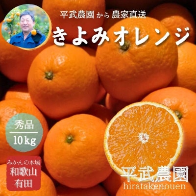 きよみオレンジ 10kg 和歌山県有田の町の平武農園から農家直送 蛍飛ぶ町から旬の便り