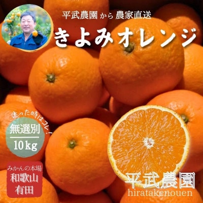 きよみオレンジ 無選別10kg 和歌山県有田の町の平武農園から農家直送　蛍飛ぶ町から旬の便り