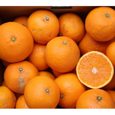 きよみオレンジ 無選別10kg 和歌山県有田の町の平武農園から農家直送　蛍飛ぶ町から旬の便り