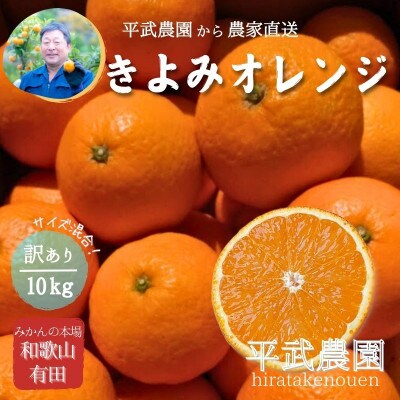 きよみオレンジ 訳あり10kg ≪サイズ混合≫ 和歌山県有田の町の平武農園から農家直送