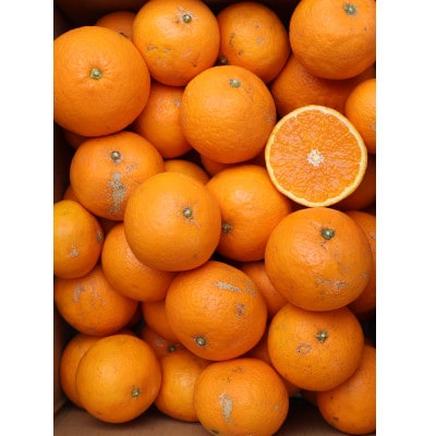 きよみオレンジ 訳あり10kg ≪サイズ混合≫ 和歌山県有田の町の平武農園から農家直送