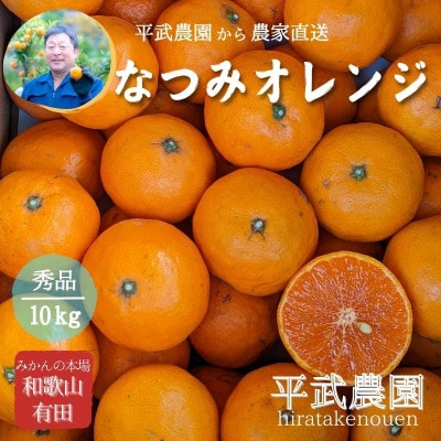 なつみオレンジ 10kg ≪秀品≫和歌山県有田の町の平武農園から農家直送