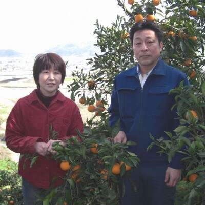 蛍飛ぶ町から旬の便り 有田ブランド 田口なつみオレンジ 5kg【平武農園】