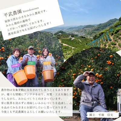 なつみオレンジ 無選別10kg ≪秀品・訳あり品・サイズ混合≫和歌山県有田の町の平武農園から農家直送