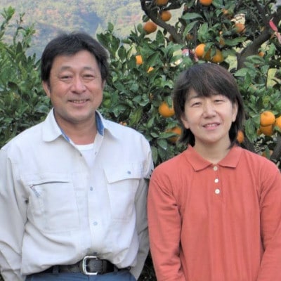 蛍飛ぶ町から旬の便り 有田みかん(約8kg 2Lサイズ),無添加100%みかんジュースセット　