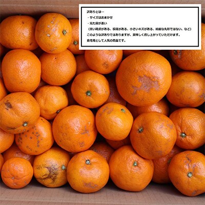蛍飛ぶ町から旬の便り 有田みかん(約8kg 訳あり),無添加100%みかんジュースセット