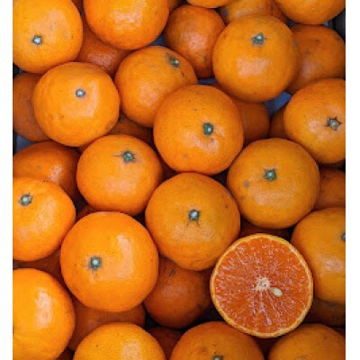 なつみオレンジ 3kg 和歌山県有田の町の平武農園から農家直送 蛍飛ぶ町から旬の便り