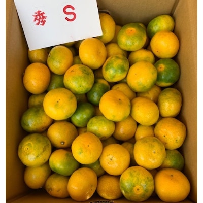 極早生みかん　赤秀品　Sサイズ　5kg　【マルシ農園】