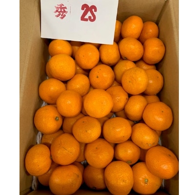 【数量限定】有田みかん　赤秀　2Sサイズ　2.8kg×2箱　【マルシ農園】