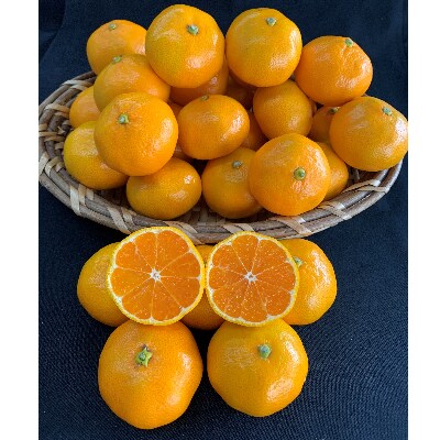 【数量限定】有田みかん　S、Мサイズ　5kg　　【マルシ農園】