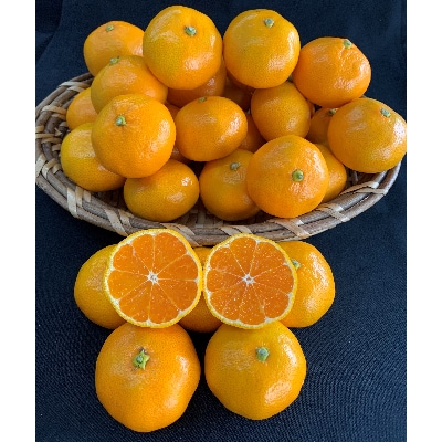 【数量限定】有田みかん　L、2Lサイズ　5kg　　【マルシ農園】