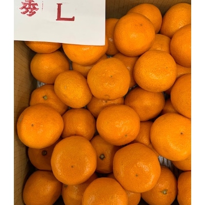 【数量限定】有田みかん　L、2Lサイズ　5kg　　【マルシ農園】