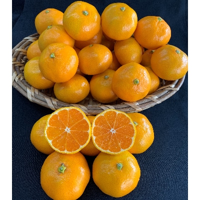【数量限定】有田みかん　赤秀　2Sサイズ　10kg　【マルシ農園】
