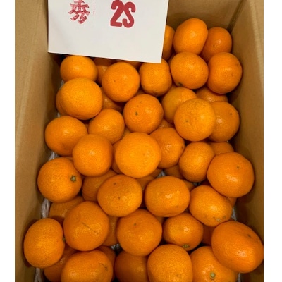 【数量限定】有田みかん　赤秀　2Sサイズ　10kg　【マルシ農園】